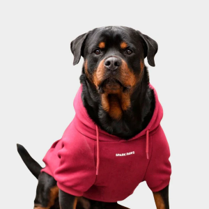 Essential Dog Hoodie – Burgundy